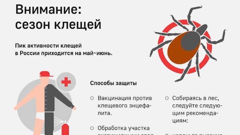Профилактика клещевого энцифалита.